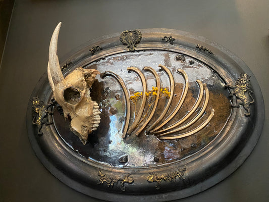Goat Cryptid Goat Bones, Resin, Flora by J. M. Liles