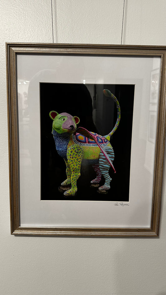 Good Bear Digital Photograph by Tom Reynen