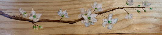Spring Blossoms Colored Pencil on Wood by Justin Sabia-Tanis
