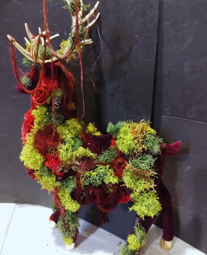 Moss Deer