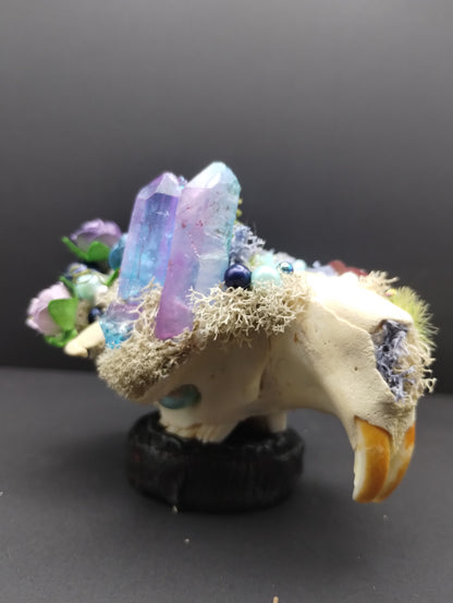 Skullptures