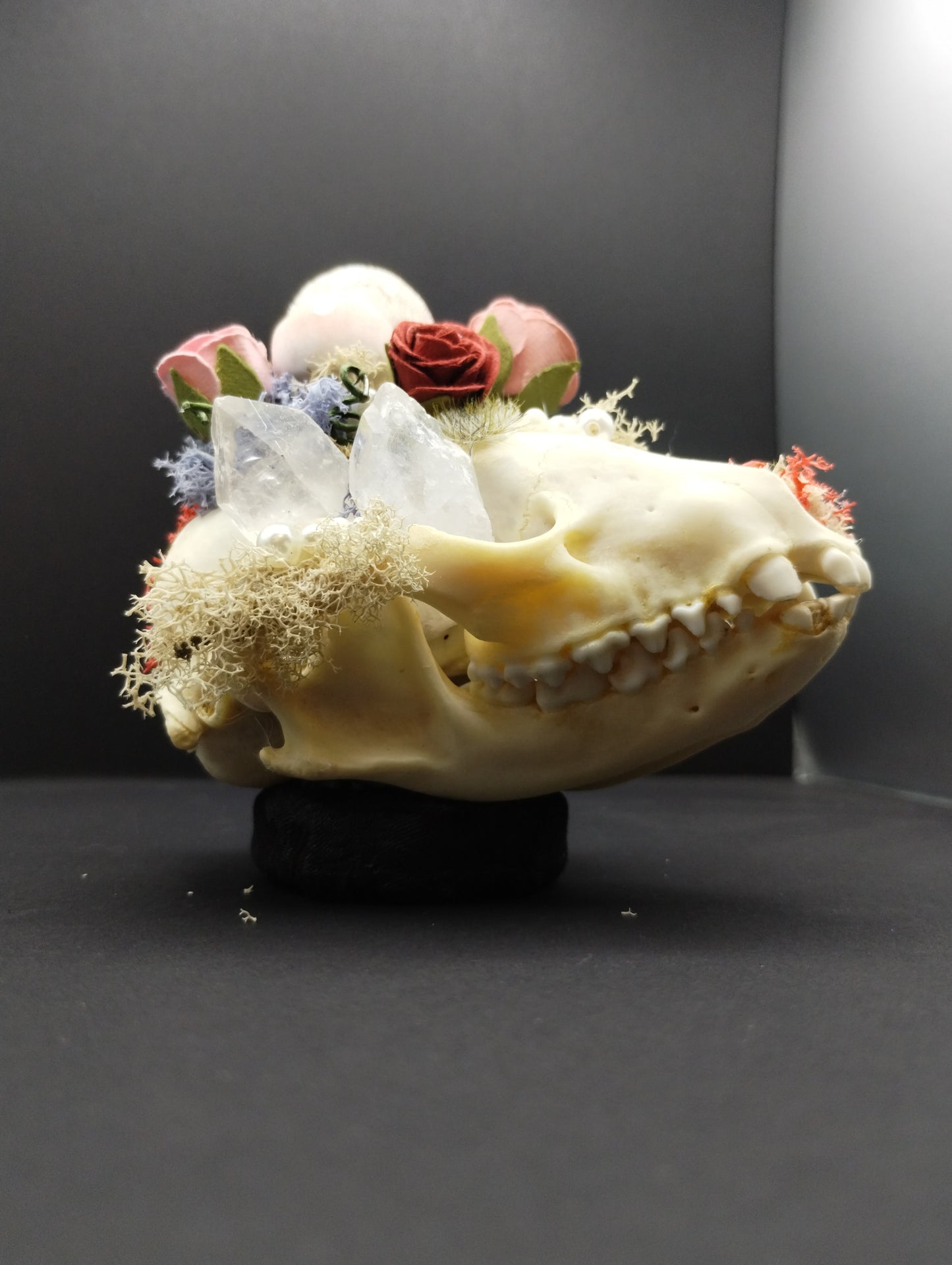 Skullptures
