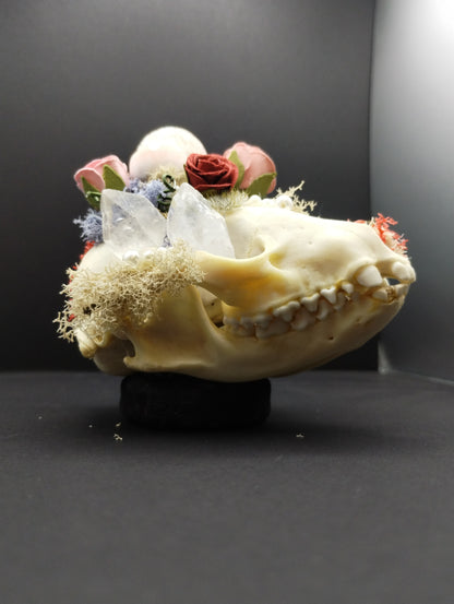 Skullptures