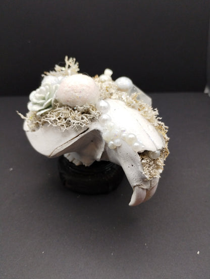 Skullptures