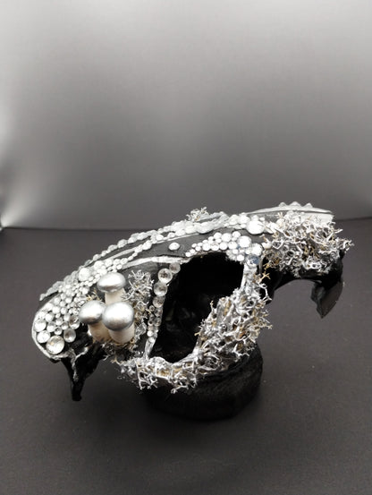 Skullptures