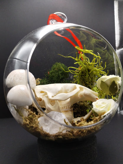 Bone Globes