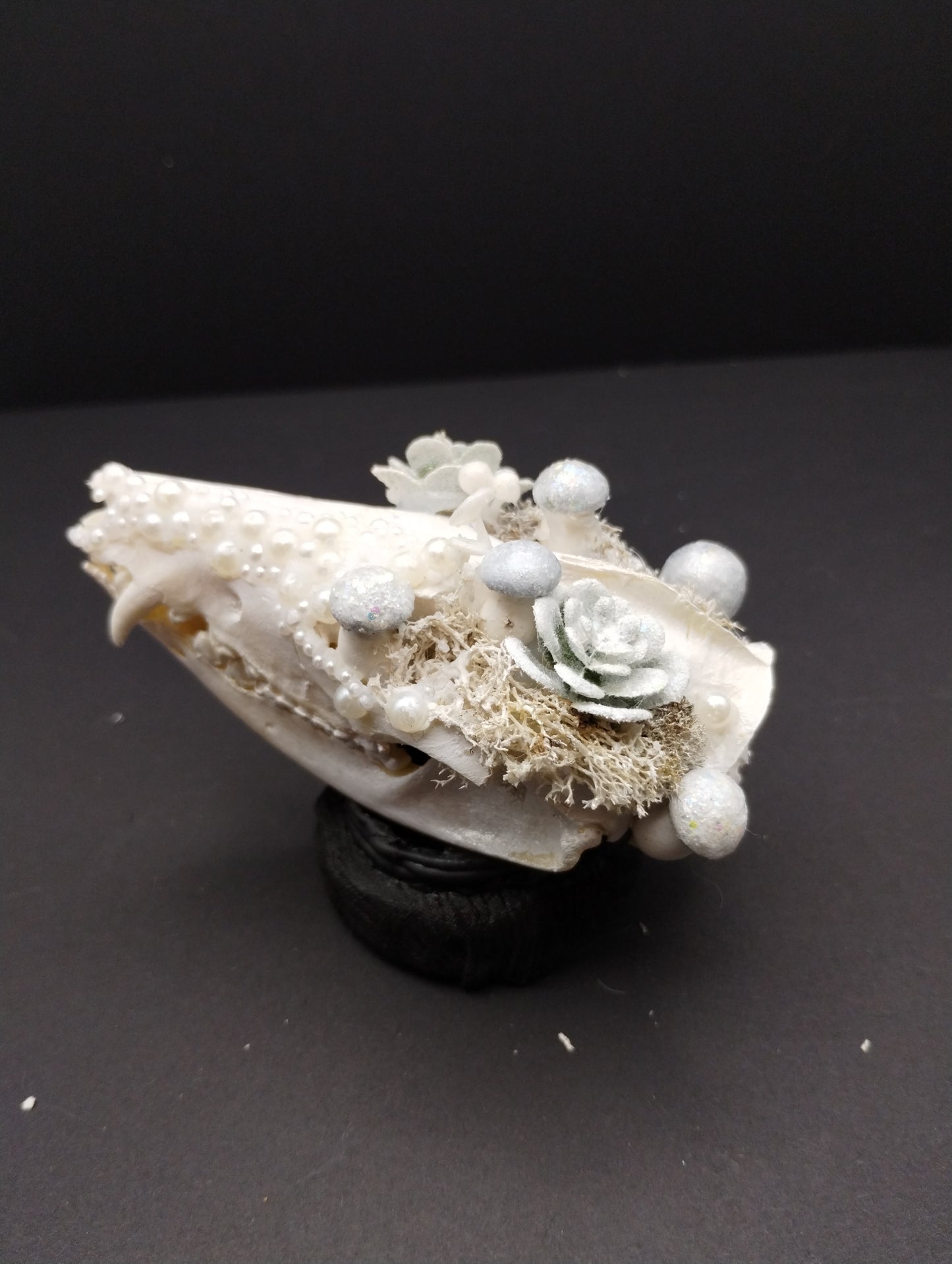 Skullptures