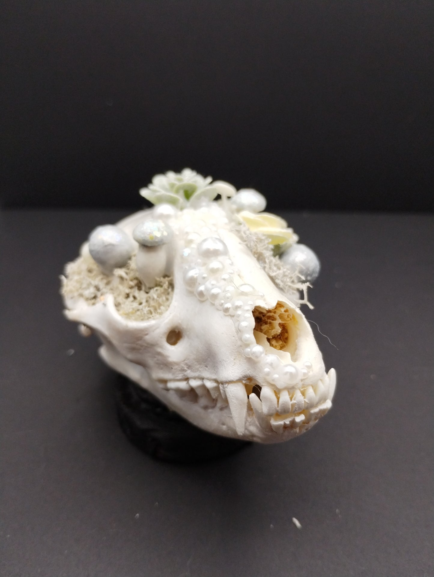 Skullptures