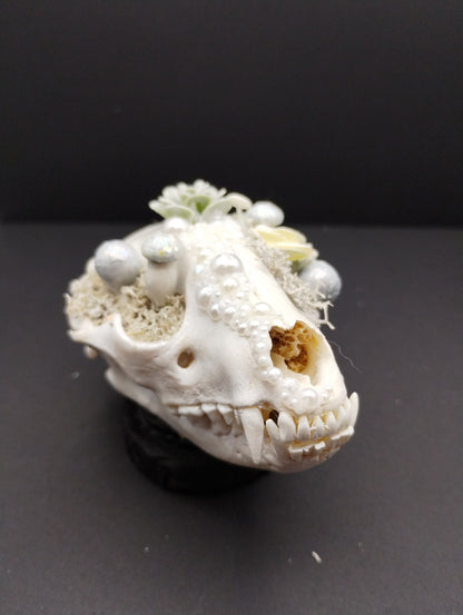Skullptures