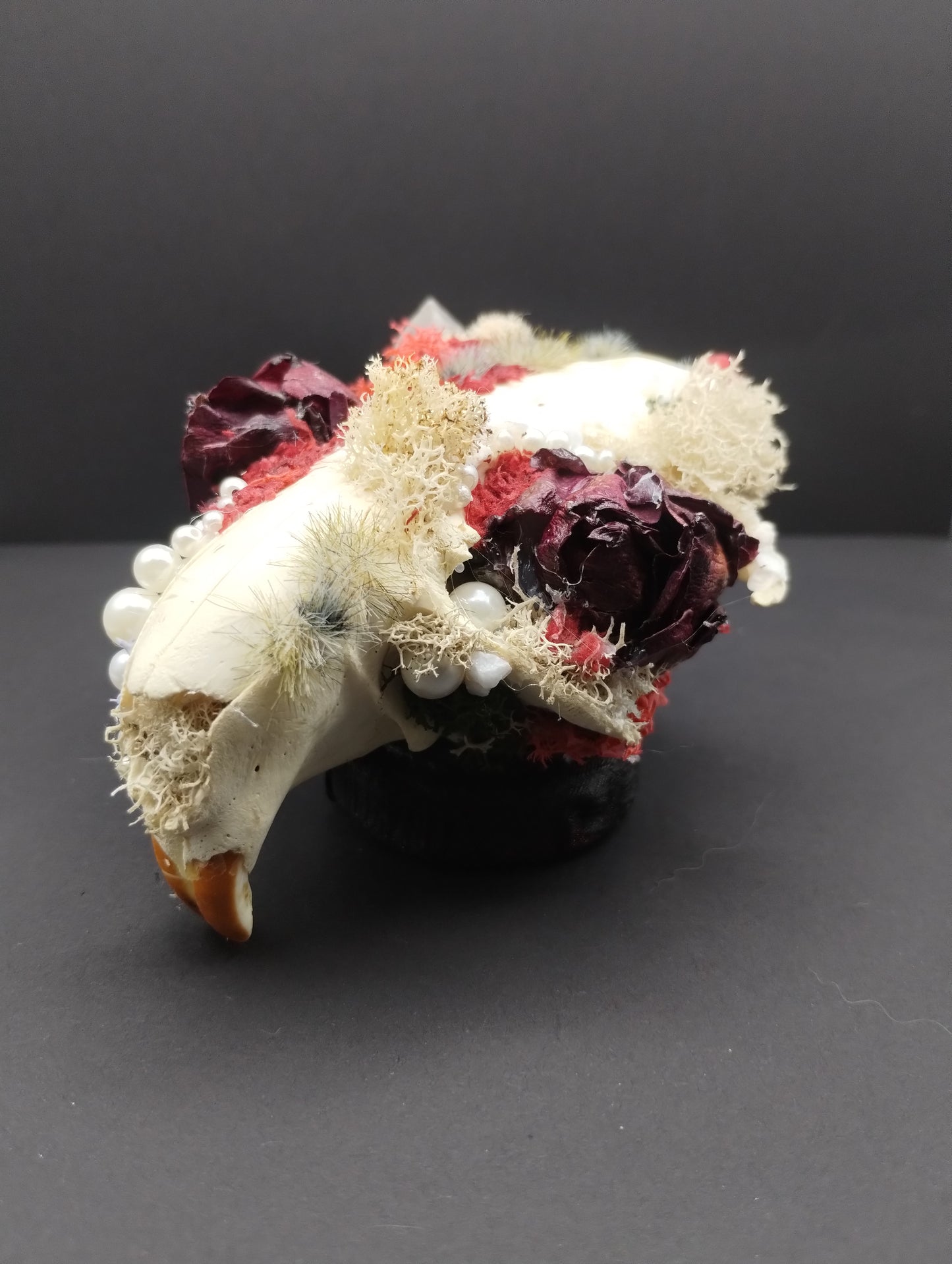 Skullptures