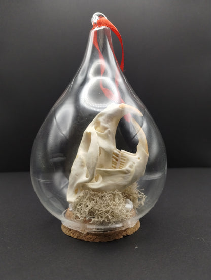 Bone Globes