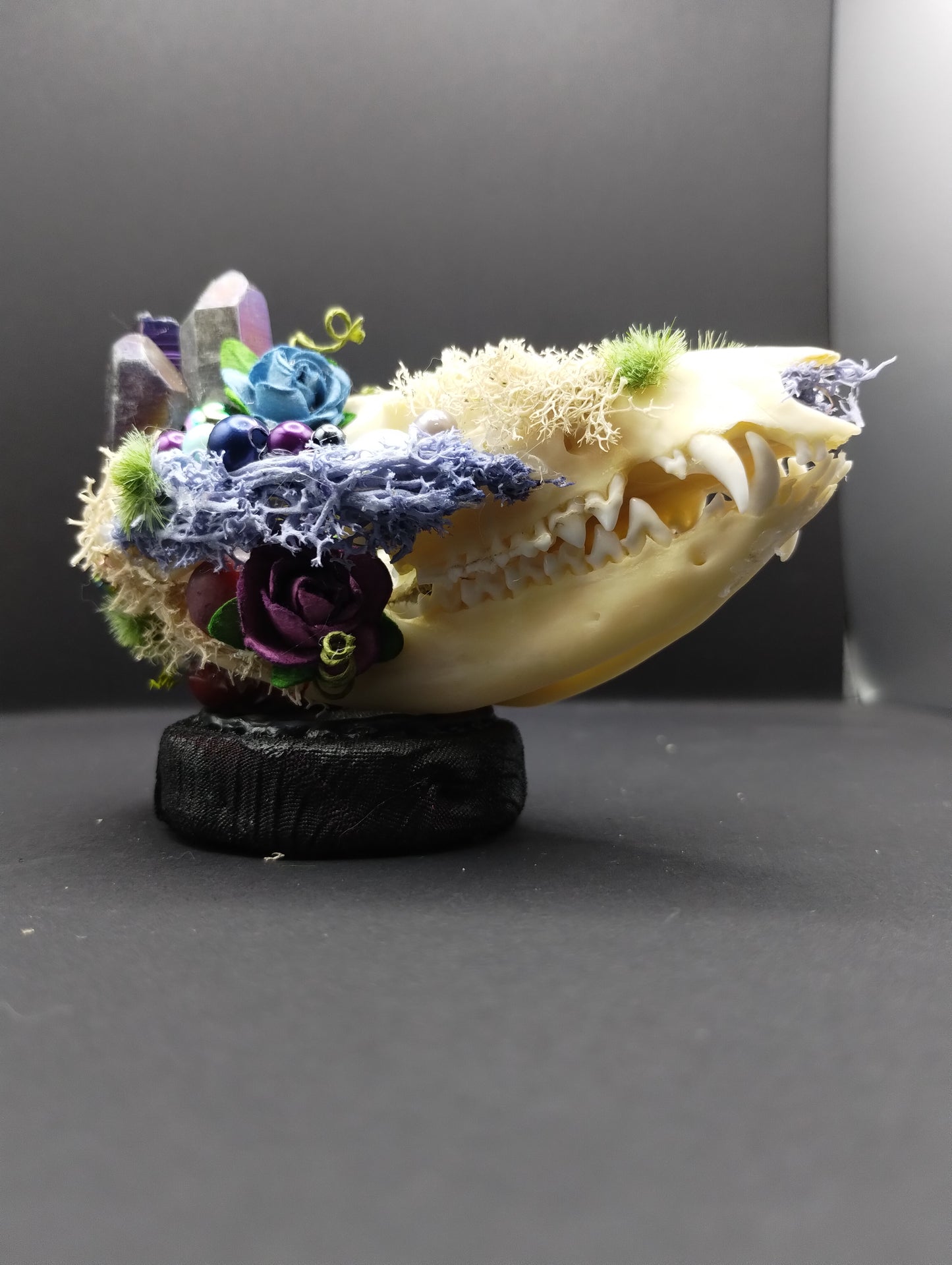Skullptures