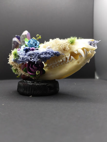 Skullptures